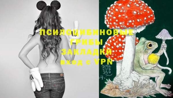 шишки Валуйки