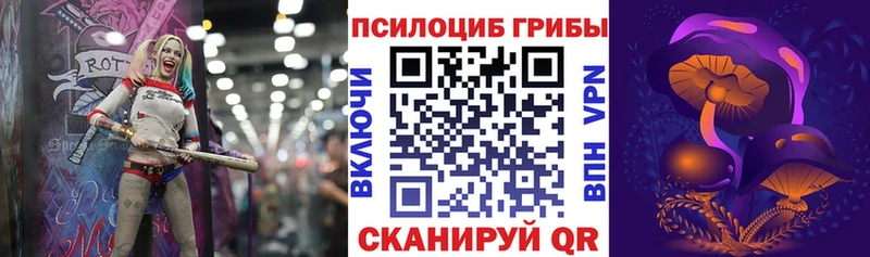 Купить  Артёмовск  Псилоцибиновые грибы GOLDEN TEACHER 